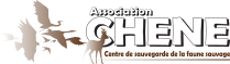 Logo of Association CHENE with the silhouettes of various birds and a deer in brown.