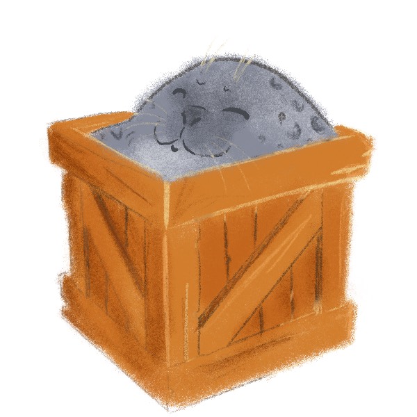 Illustration of a grey baby seal peeking out of a wooden box. The seal is very round, sleepy, and satisfied.