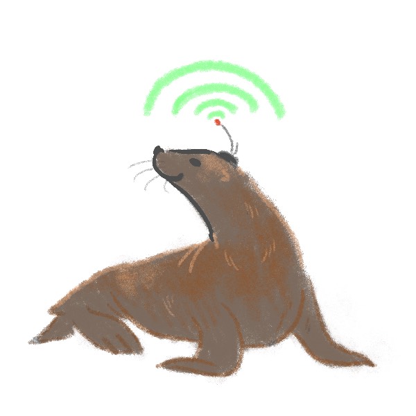 Illustration of a brown sea lion with a satellite transmitter on its head that is sending out a signal looking like green waves.