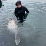 Photo of a woman in a wet-suit in the water with a harbor seal in the front, both looking at each other