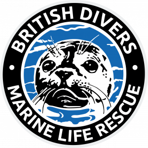 Logo of BDMLR showing a seal face in black and white looking out of blue water at the viewer.