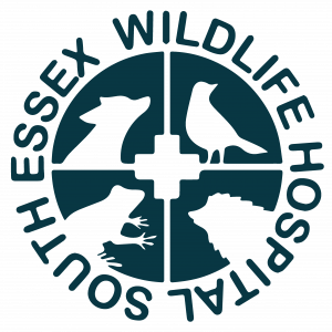 South Essex Wildlife Hospital Logo, with a cross in the middle of a circle, surrounded by for segments with a bird, hedgehob, frog, and fox silhouette.