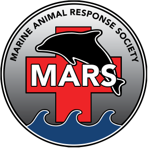 The MARS logo shows a red cross above stylized waves with a black dolphin jumping above them, all in a grey circle.