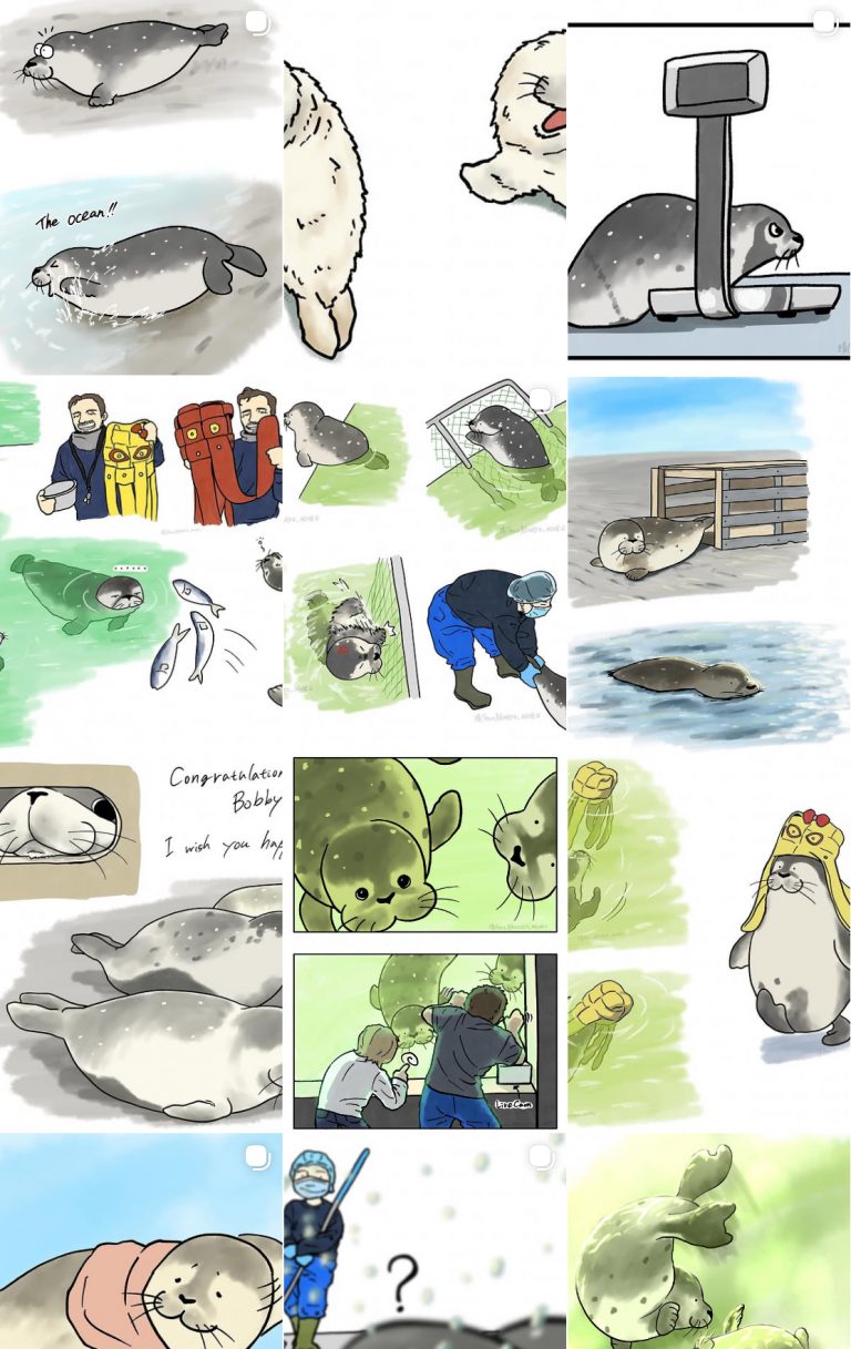 Screenshot of Haru's Instagram grid, showing a variety of their art: seals from the Zeehondencentrum and details of their care.